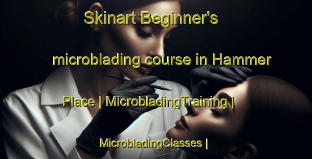 Skinart Beginner's microblading course in Hammer Place | MicrobladingTraining | MicrobladingClasses | SkinartTraining-United States